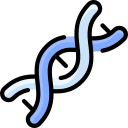 Healthcare Technology Application Development